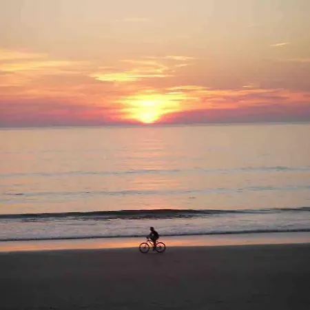 Luz, Sol Y Arena * Rota