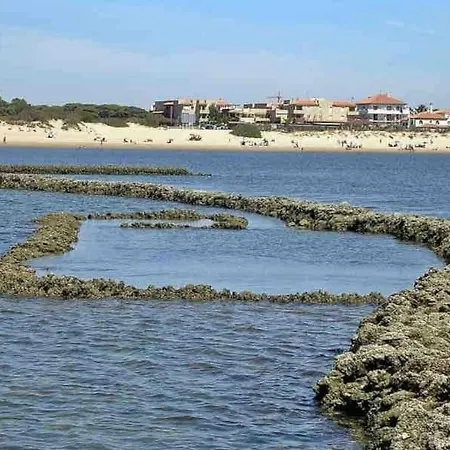 Luz, Sol Y Arena * 로타